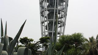 東京スカイツリーを