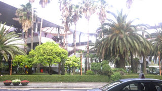 明るくて活気があります