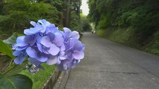 エアドラム撮影の絶好ロケーション！