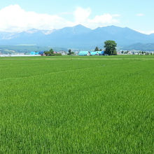 ホームからの十勝連山