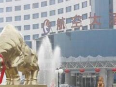 Aviation Hotel 写真