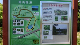 小さなトレイルあり☆手入れされた湿地帯
