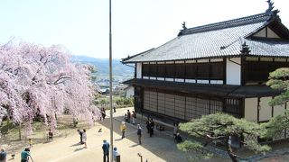 歌舞伎舞台の目の前は「舞台桜」