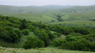 氷河が造り出した景色