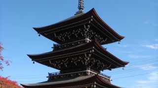 大イチョウと三重塔