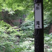 天滝までの道から！