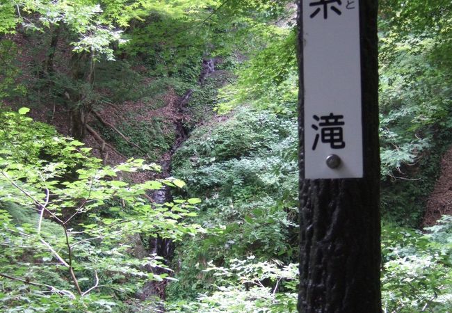 天滝までの道から！