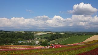 ノロッコ号に乗って素敵な景色を満喫