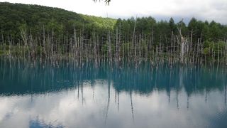 青が綺麗な場所