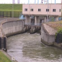 回収された付近