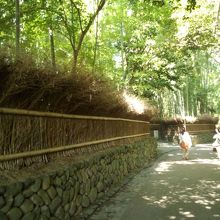 日影になって写真を撮る人達が沢山います