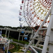 動物園に隣接している遊園地