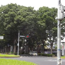 常盤平けやき通り、松戸市役所常盤平支所付近