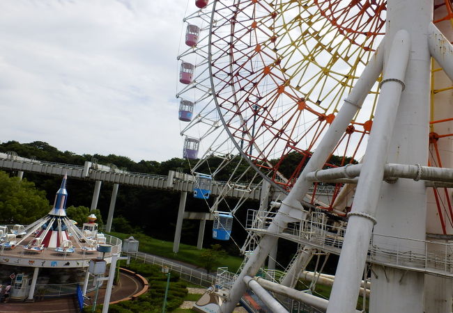 動物園に隣接している遊園地