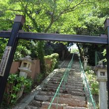 本殿へと続く石段