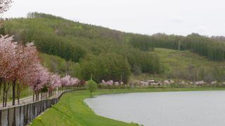 カヌーやワカサギ釣りが楽しめる