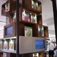 地下二階です。