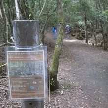 この看板で気が付きました。