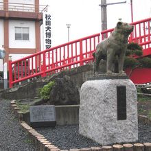 会館手前の秋田犬の像