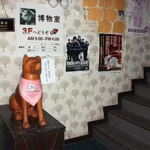 博物室（展示室）へは階段で