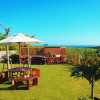 お庭からの景色　サトウキビ越しに海が見えます。