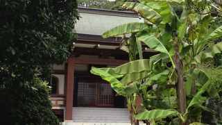 山門がいい味ですね