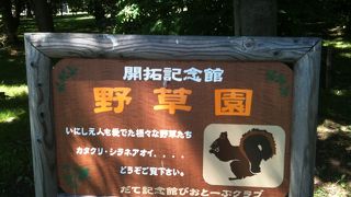 伊達の歴史、伊達家の歴史