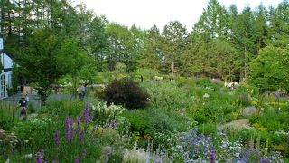 花いっぱいの庭の散策