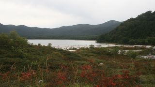 見る場所によってはきれいな高原の湖