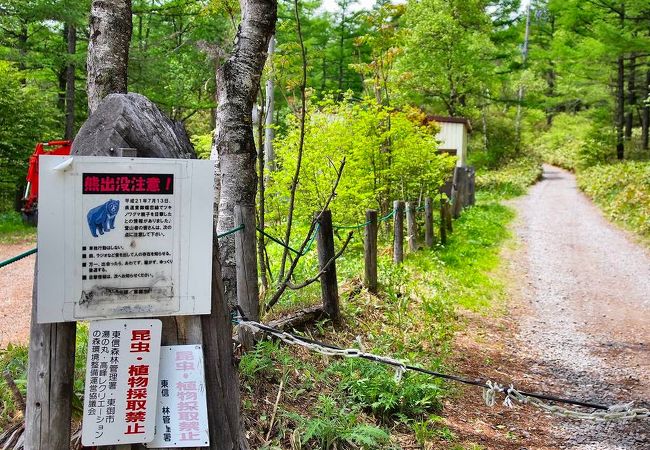 湯の丸キャンプ場