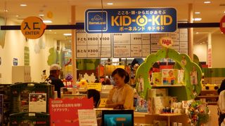 幼児の有料の遊び場　