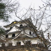 彦根城のココを見て！