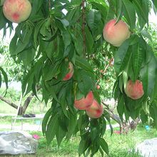 手の届くところにあります