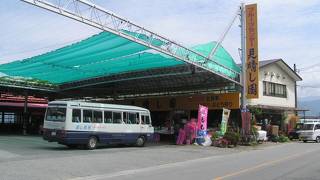 もぎ取り食べ放題の夏の味覚に大満足！