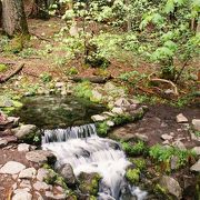 湧き水が流れ出すヨセミテで一番小さな「滝」