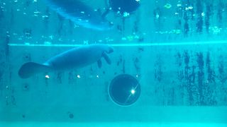 なんだか　かわいかったー