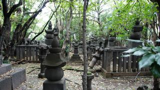 立派な五輪塔があちこちで倒れてました