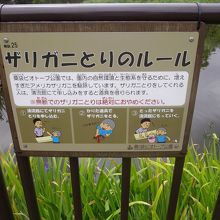 ザリガニ釣りのできるため池