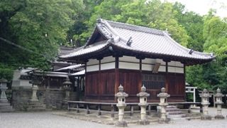 真龍寺 クチコミ・アクセス・営業時間|茨木・摂津【フォー 真龍寺 クチコミ・アクセス・営業時間|茨木・摂津【フォー