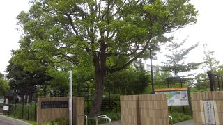 水質改善と環境学習の施設