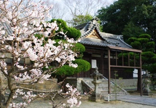 菅原神社 (藤阪天神町)