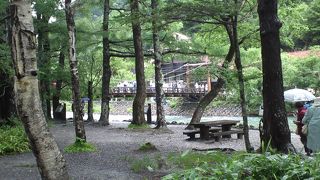 四半世紀ぶりの上高地は、雨にけむり・・・