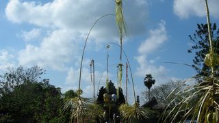 タマン・アユン寺院