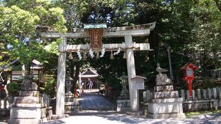 子供の疳の虫除けの神様