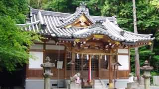 真龍寺 クチコミ・アクセス・営業時間|茨木・摂津【フォー 真龍寺 クチコミ・アクセス・営業時間|茨木・摂津【フォー