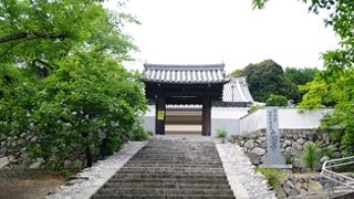 真龍寺 クチコミ・アクセス・営業時間｜茨木・摂津【フォー