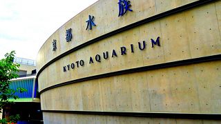 大阪から年間パスポート