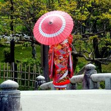 円山公園 （まるやまこうえん）の和装花嫁