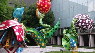 地域に根ざす・・・