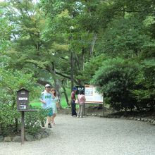 ゆったりとした庭園